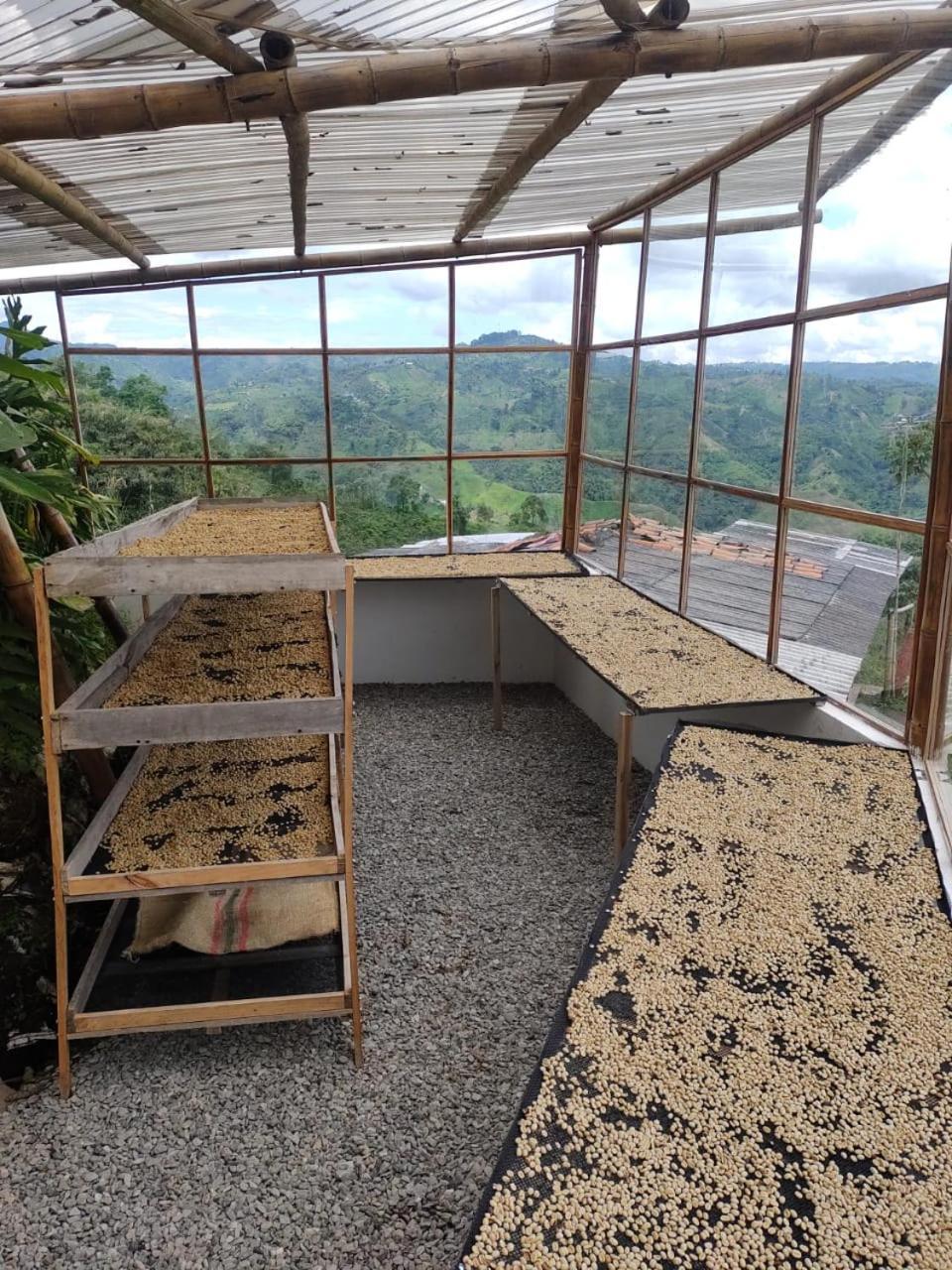 Glamping Orosierra Hotel Chinchiná Buitenkant foto